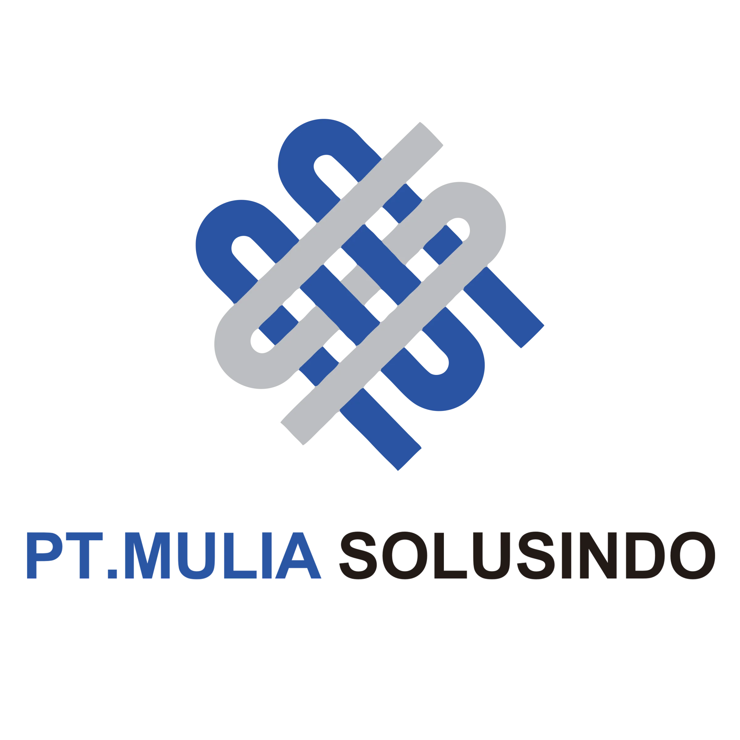 pTMS logo